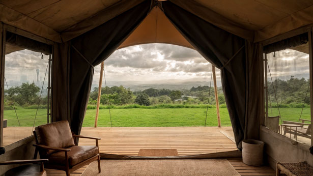 enhanced_Replace_the_land_202512221029