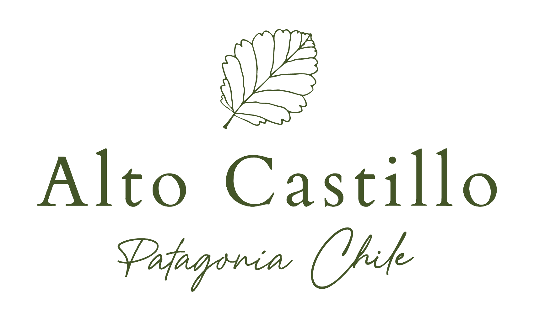 Alto-Castillo-logo